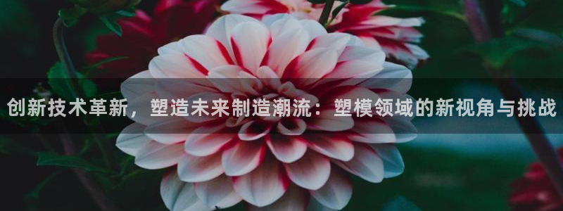 电子游戏太阳神官方网站：创新技术革新，塑造未来制造潮流：塑模领域的新视角与挑战