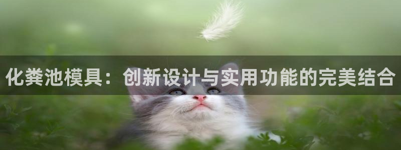 太阳集团城官网：化粪池模具：创新设计与实用功能的完美结合