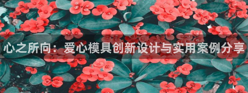 古天乐 太阳灯：心之所向：爱心模具创新设计与实用案例分享