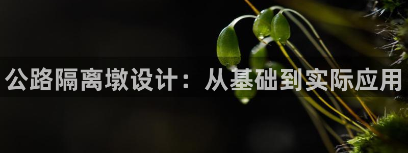 太阳2游戏娱乐官网：公路隔离墩设计：从基础到实际应用