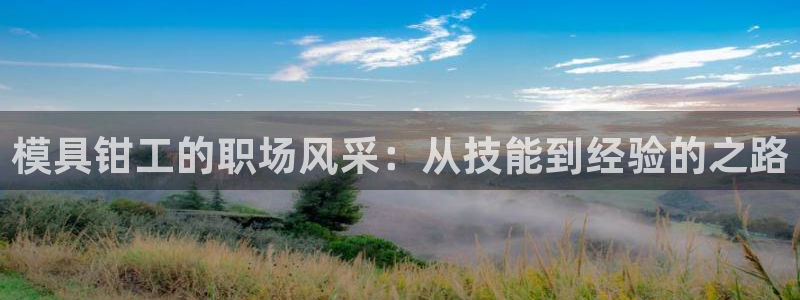 太阳集团游戏官方网址老字号：模具钳工的职场风采：从技能到经验的之路