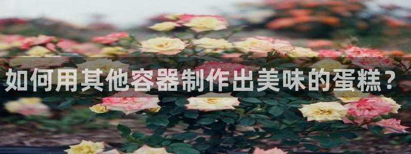 太阳集团娱乐官方网站