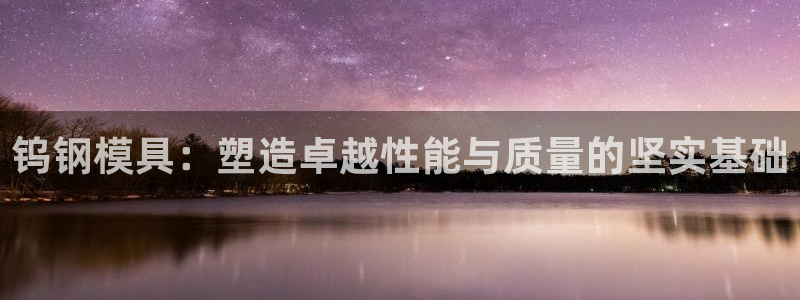 太阳成集团mmm671：钨钢模具：塑造卓越性能与质量的坚实基础