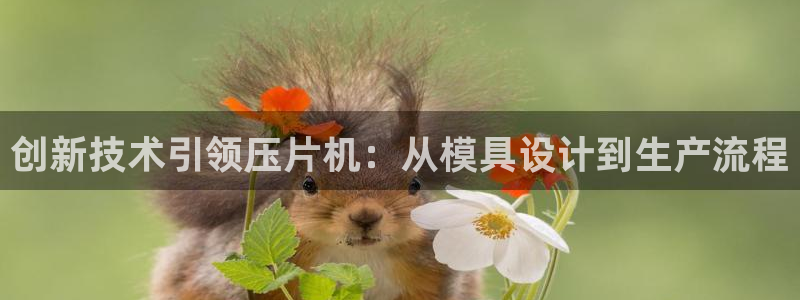 太阳成集团老板：创新技术引领压片机：从模具设计到生产流程