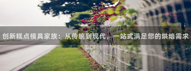 太阳成集团tyc234cc：创新糕点模具家族：从传统到现代，一站式满足您的烘焙需求