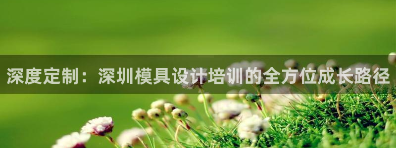 太阳集团官网导航首页：深度定制：深圳模具设计培训的全方位成长路径