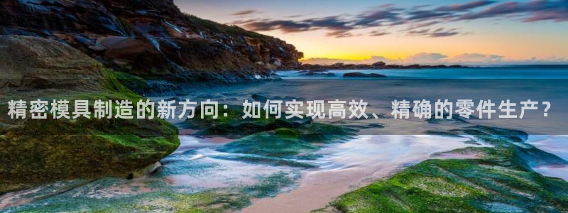 太阳集团董事长的儿子：精密模具制造的新方向：如何实现高效、精确的零件生产？