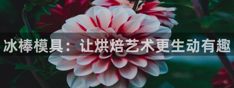 太阳gg登录首页：冰棒模具：让烘焙艺术更生动有趣