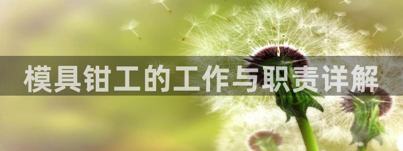 122cc太阳集成游戏官方网站版：模具钳工的工作与职责详解