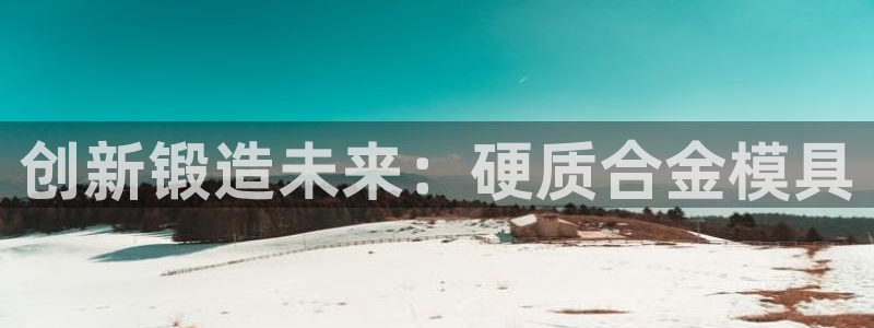 太阳集团电子游戏返还8元：创新锻造未来：硬质合金模具