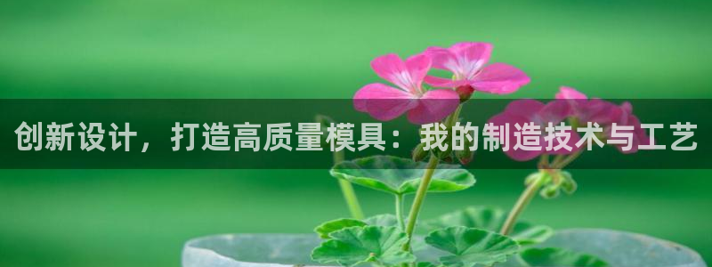 太阳集团电视剧：创新设计，打造高质量模具：我的制造技术与工艺