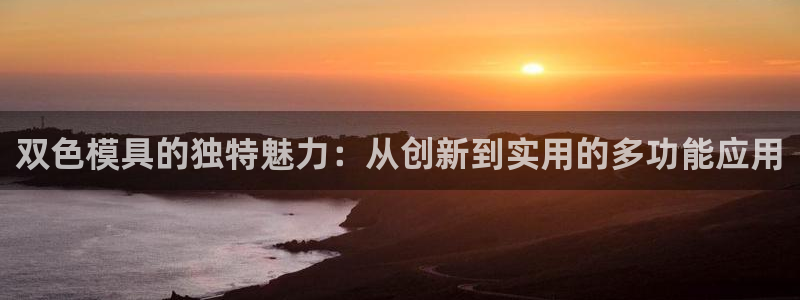 太阳集团电子游戏官方网站：双色模具的独特魅力：从创新到实用的