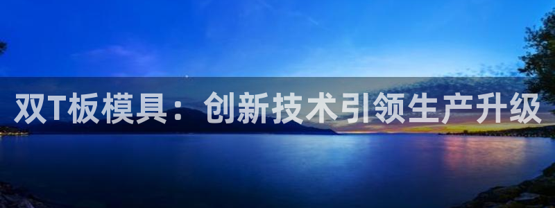 太阳集团入口官网网址：双T板模具：创新技术引领生产升级