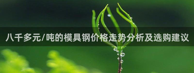 太阳成集团控股：八千多元/吨的模具钢价格走势分析及选购建议