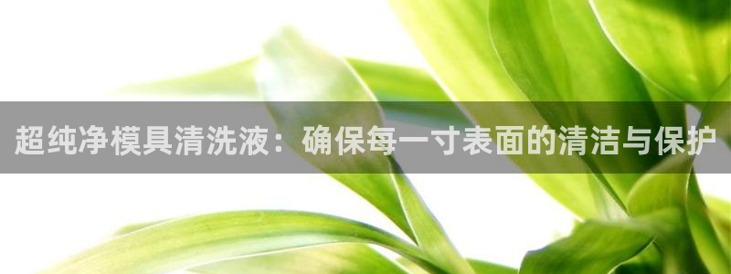 太阳集团注册：超纯净模具清洗液：确保每一寸表面的清洁与保护