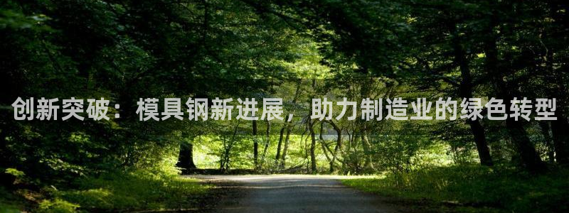 太阳集团app十佳平台是什么：创新突破：模具钢新进展，助力制
