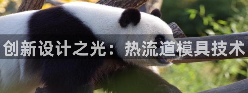 古天乐和太阳集团：创新设计之光：热流道模具技术