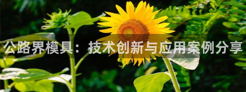 太阳集团tcy8722贵宾会：公路界模具：技术创新与应用案例分享