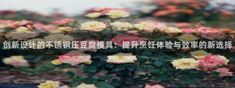 澳门太阳集团老板洗米华：创新设计的不锈钢压豆腐模具：提升烹饪
