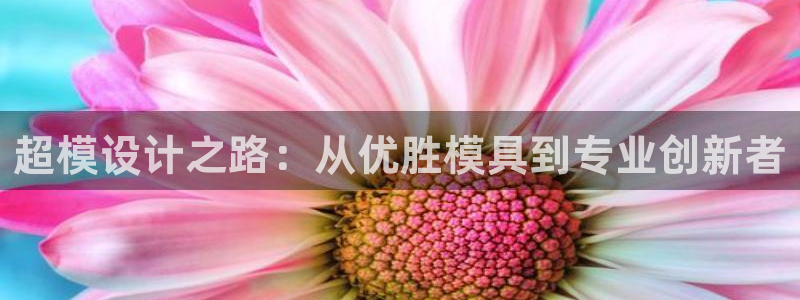 太阳gg登录首页：超模设计之路：从优胜模具到专业创新者
