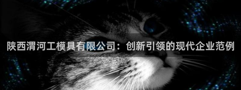 太阳集团的股价是多少：陕西渭河工模具有限公司：创新引领的现代