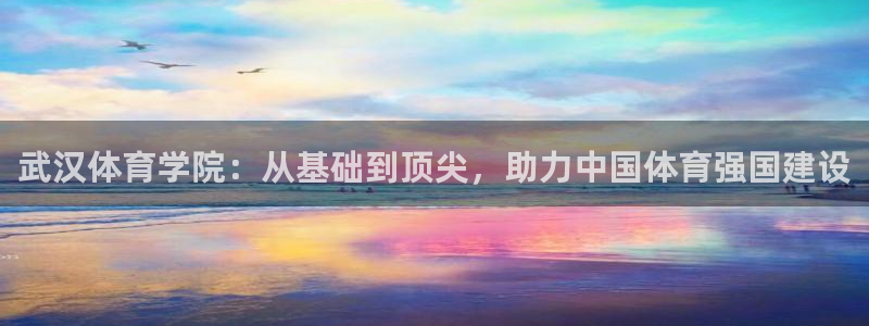 中欧体育登录