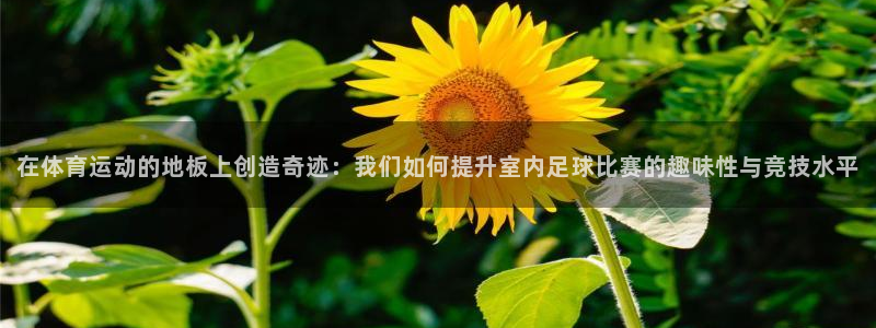zoty中欧体育平台