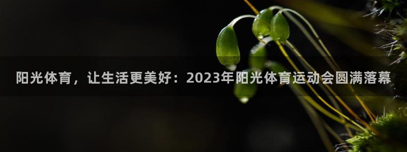中欧体育官网