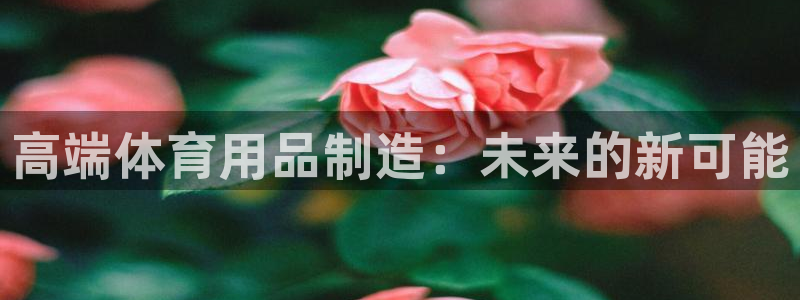 中欧体育官网