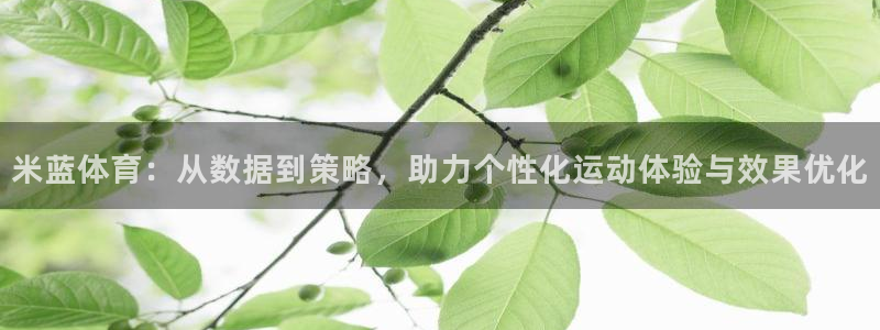 中欧体育集团