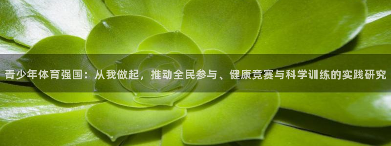 zoty中欧体育