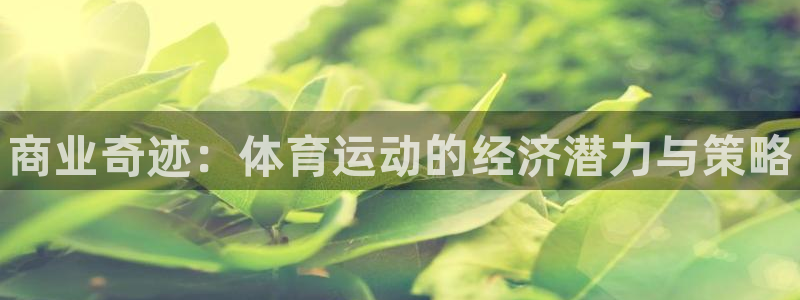 kok中欧体育