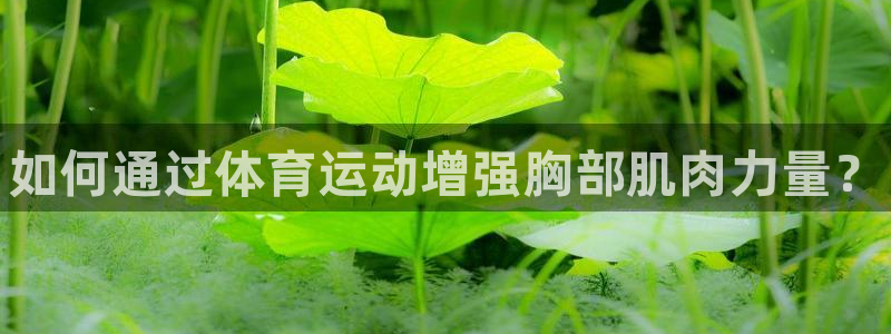 kok中欧体育
