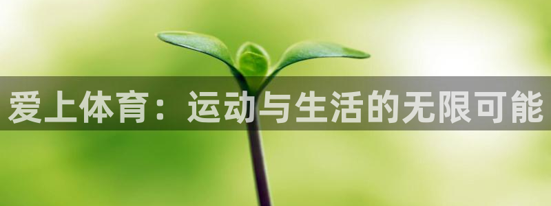 中欧体育平台
