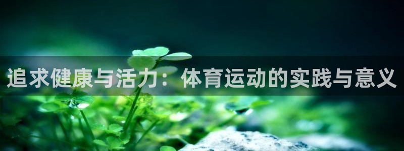 中欧体育网页版