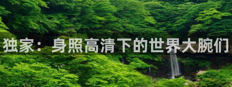 中欧体育登录