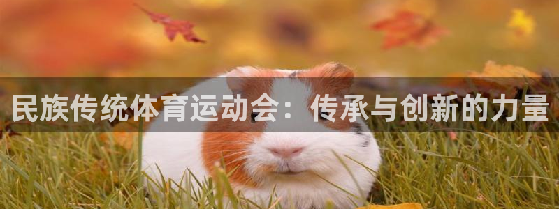 zoty中欧体育