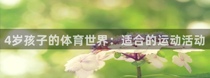 中欧体育kok官网首页