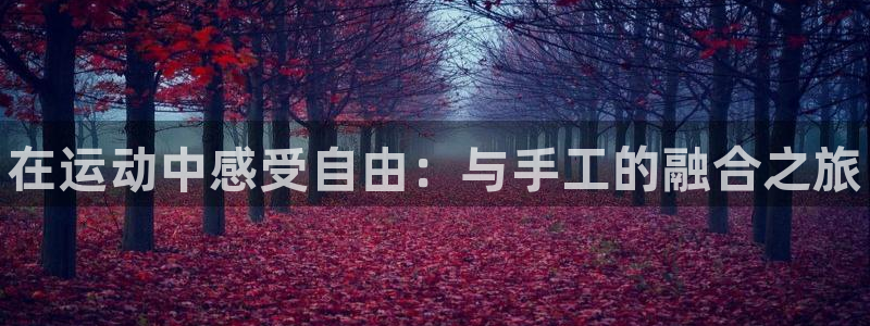 中欧体育网页版