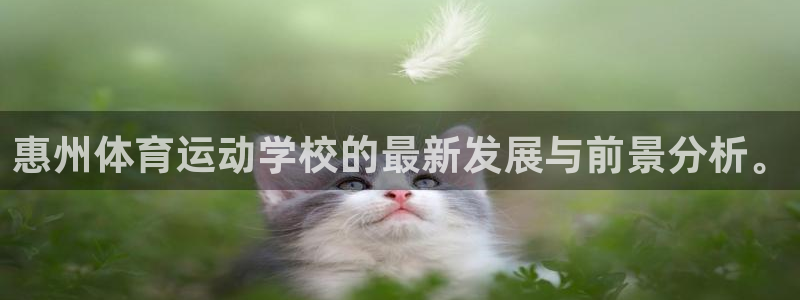 中欧体育官网