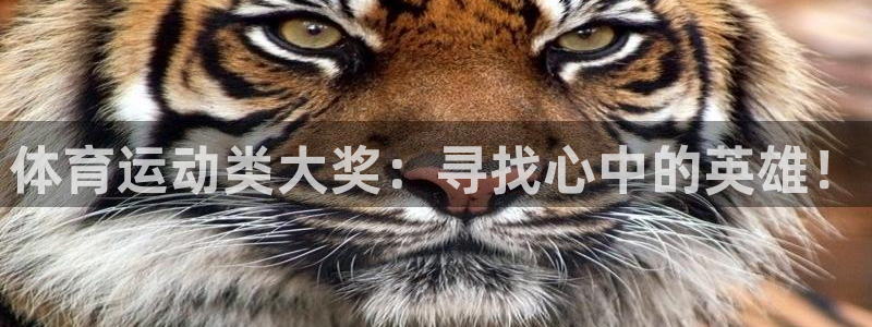 中欧体育官网入口