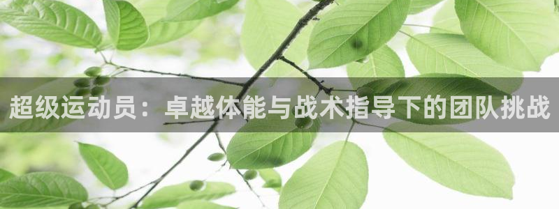 zoty中欧体育网址多少