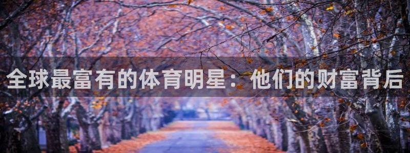 kok中欧体育