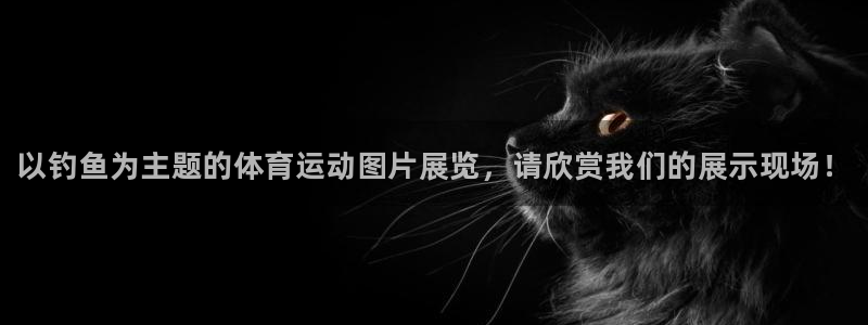 zyty中欧体育平台