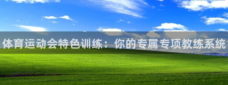 中欧体育官网入口
