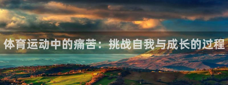 中欧体育网页版