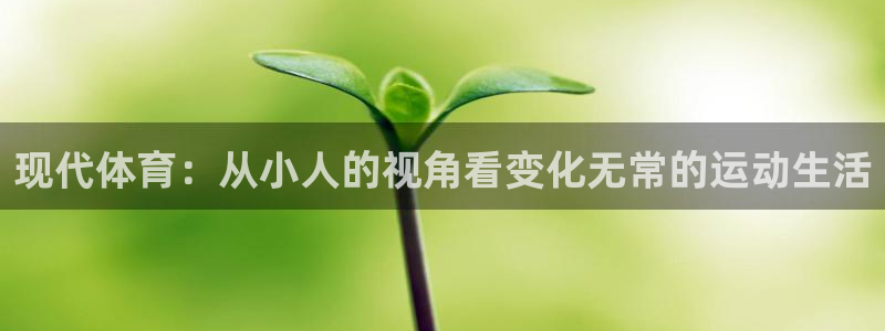 中欧体育官网