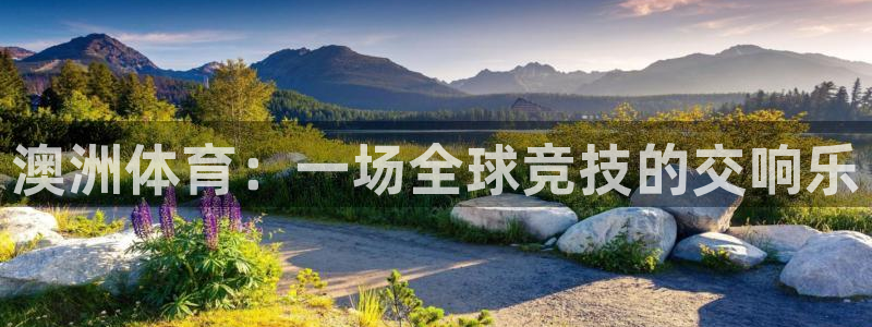 中欧体育最新地址