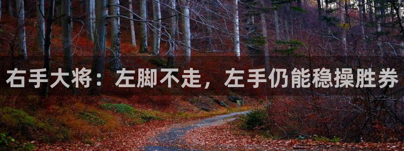 中欧体育官网入口