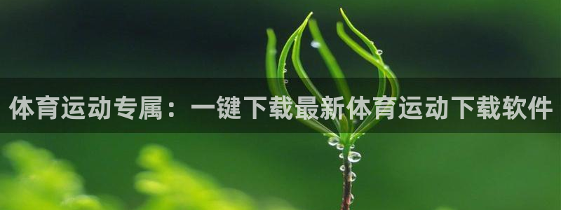 kok中欧体育登录